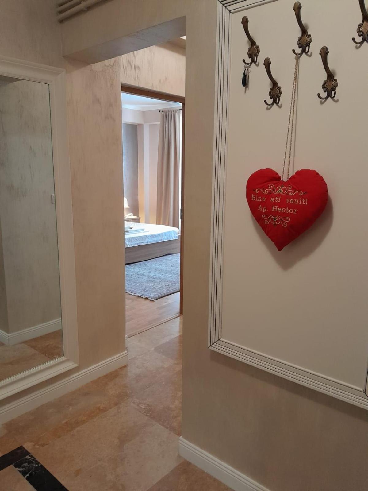Ap Hector Lägenhet Năvodari Exteriör bild